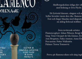 GÄSTSPEL: Flamencoshow - Homenaje